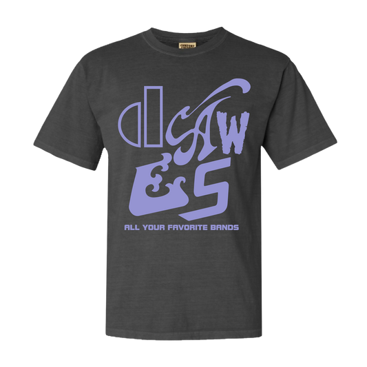 Dawes All Your Favorite Bands Tee